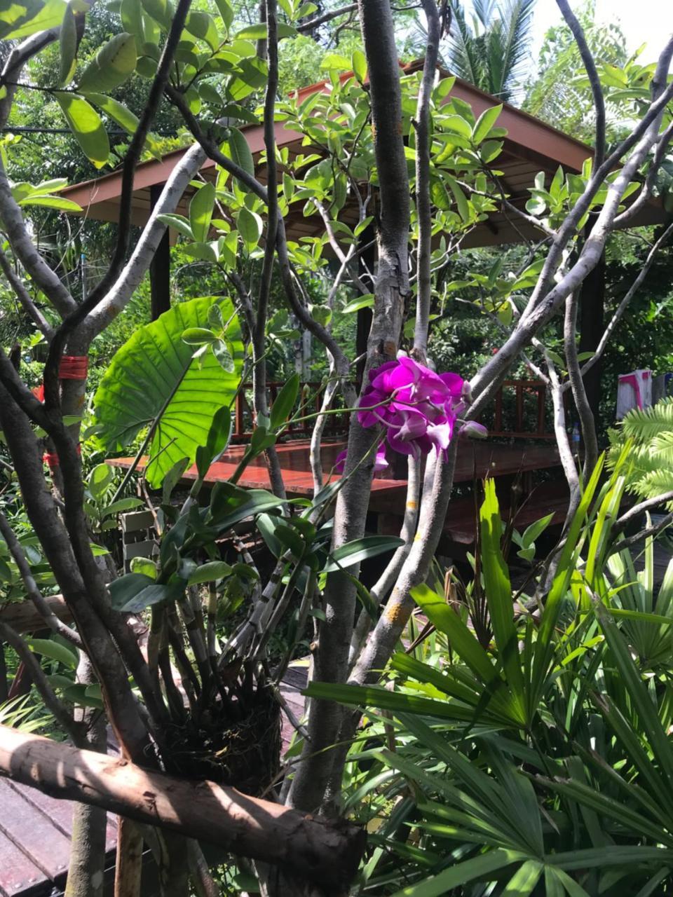 Bang Chak 88 Homestay מראה חיצוני תמונה